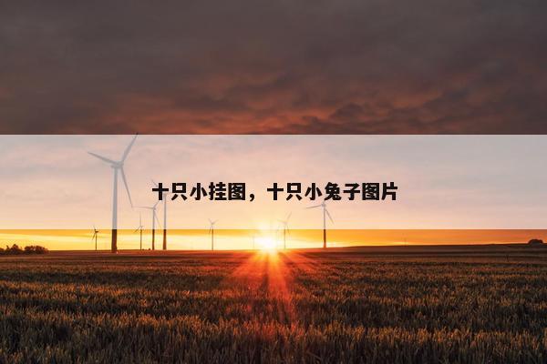 十只小挂图，十只小兔子图片