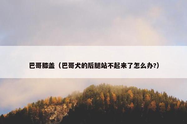 巴哥膝盖（巴哥犬的后腿站不起来了怎么办?）