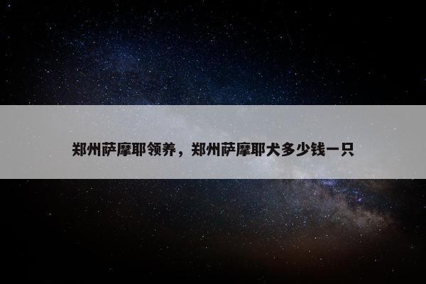 郑州萨摩耶领养，郑州萨摩耶犬多少钱一只