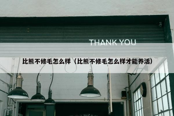 比熊不修毛怎么样（比熊不修毛怎么样才能养活）