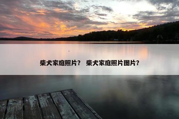 柴犬家庭照片？ 柴犬家庭照片图片？