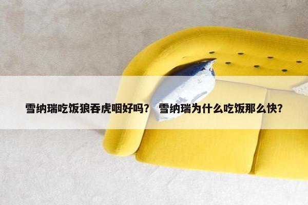 雪纳瑞吃饭狼吞虎咽好吗？ 雪纳瑞为什么吃饭那么快？