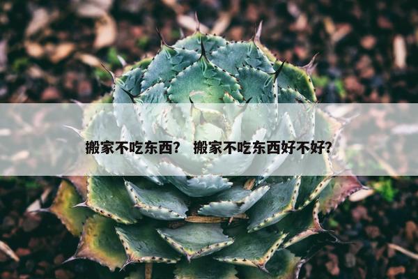 搬家不吃东西？ 搬家不吃东西好不好？