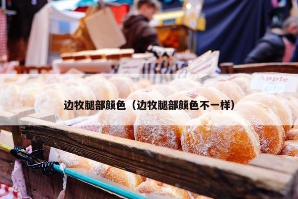 边牧腿部颜色（边牧腿部颜色不一样）