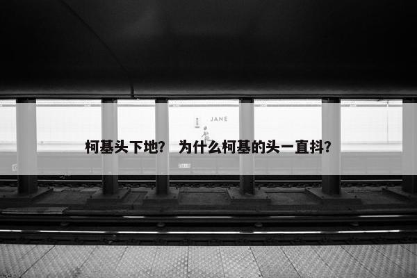 柯基头下地？ 为什么柯基的头一直抖？