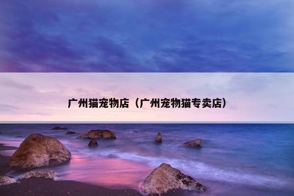 广州猫宠物店（广州宠物猫专卖店）