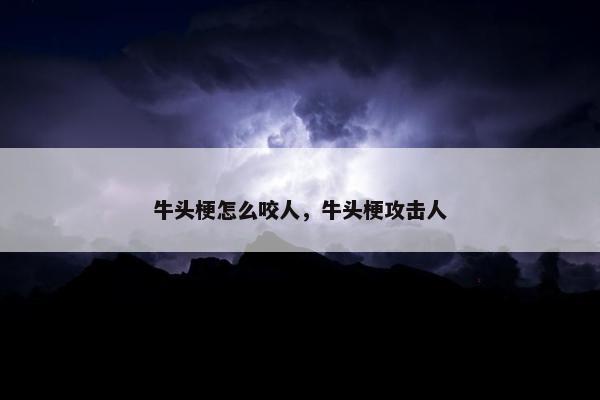 牛头梗怎么咬人，牛头梗攻击人