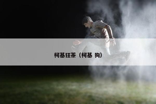 柯基狂茶（柯基 狗）