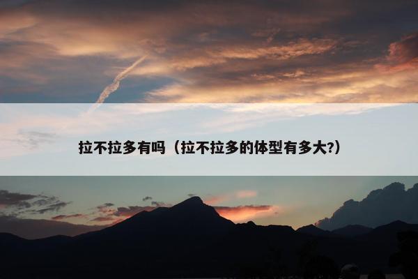 拉不拉多有吗（拉不拉多的体型有多大?）