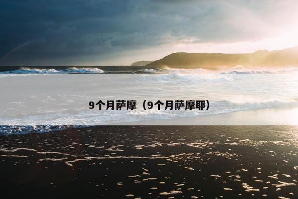 9个月萨摩（9个月萨摩耶）