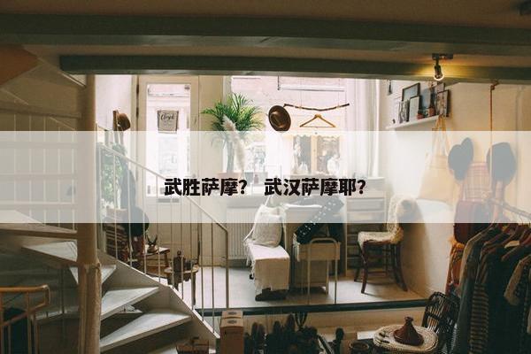武胜萨摩？ 武汉萨摩耶？