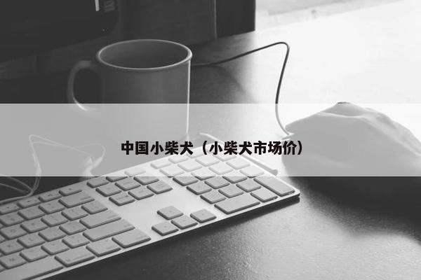 中国小柴犬（小柴犬市场价）