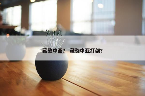 藏獒中亚？ 藏獒中亚打架？