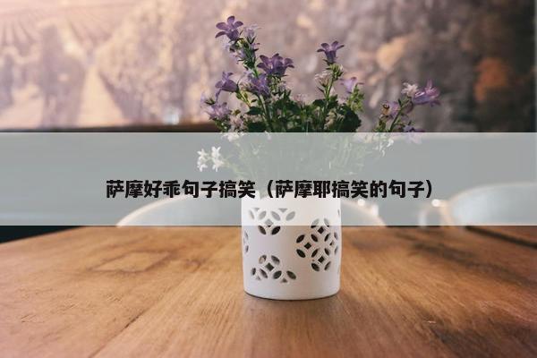 萨摩好乖句子搞笑（萨摩耶搞笑的句子）