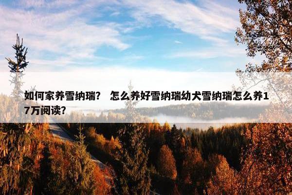 如何家养雪纳瑞？ 怎么养好雪纳瑞幼犬雪纳瑞怎么养17万阅读？