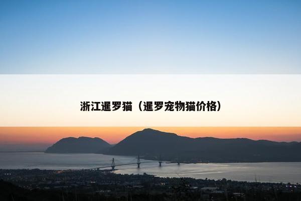 浙江暹罗猫（暹罗宠物猫价格）