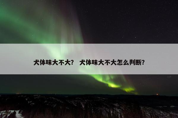 犬体味大不大？ 犬体味大不大怎么判断？