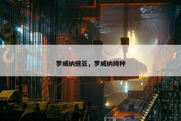 罗威纳豌豆，罗威纳纯种