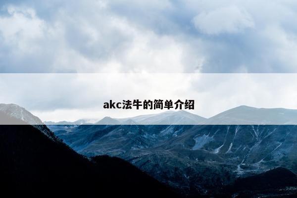 akc法牛的简单介绍