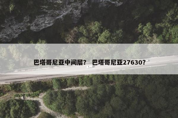 巴塔哥尼亚中间层？ 巴塔哥尼亚27630？