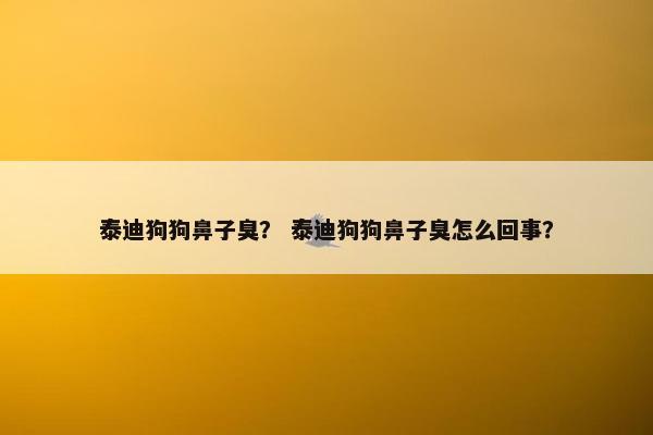 泰迪狗狗鼻子臭？ 泰迪狗狗鼻子臭怎么回事？