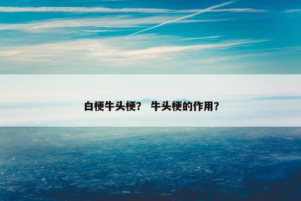 白梗牛头梗？ 牛头梗的作用？