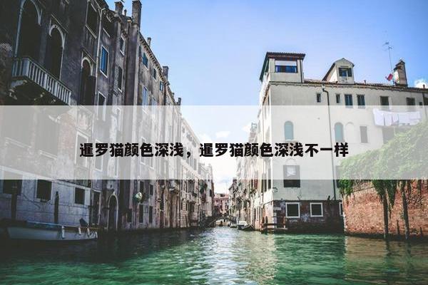 暹罗猫颜色深浅，暹罗猫颜色深浅不一样