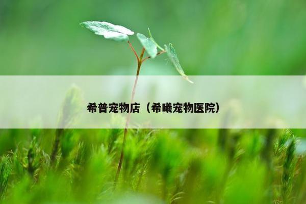 希普宠物店（希曦宠物医院）