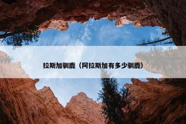 拉斯加驯鹿（阿拉斯加有多少驯鹿）