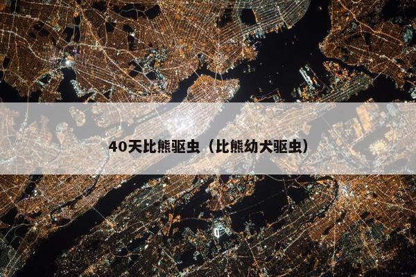 40天比熊驱虫（比熊幼犬驱虫）