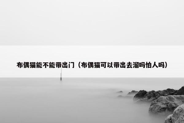 布偶猫能不能带出门（布偶猫可以带出去溜吗怕人吗）