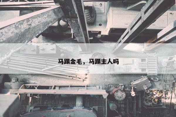马踢金毛，马踢主人吗