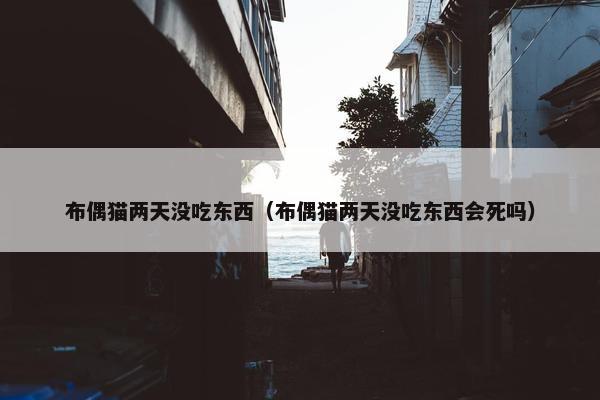 布偶猫两天没吃东西（布偶猫两天没吃东西会死吗）