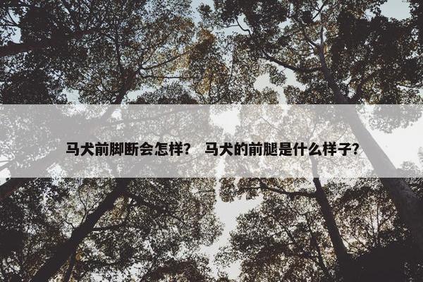 马犬前脚断会怎样？ 马犬的前腿是什么样子？