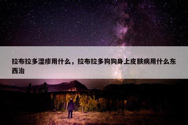 拉布拉多湿疹用什么，拉布拉多狗狗身上皮肤病用什么东西治