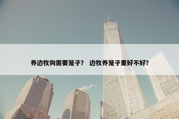 养边牧狗需要笼子？ 边牧养笼子里好不好？