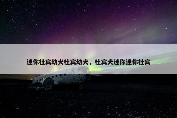 迷你杜宾幼犬杜宾幼犬，杜宾犬迷你迷你杜宾