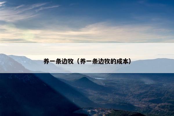 养一条边牧（养一条边牧的成本）
