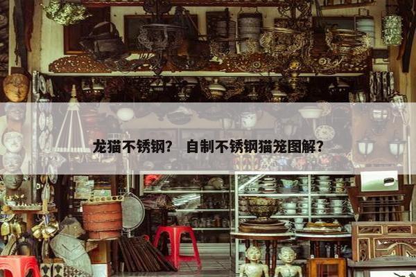 龙猫不锈钢？ 自制不锈钢猫笼图解？