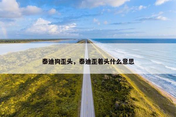 泰迪狗歪头，泰迪歪着头什么意思