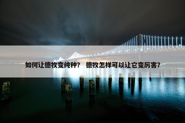 如何让德牧变纯种？ 德牧怎样可以让它变厉害？