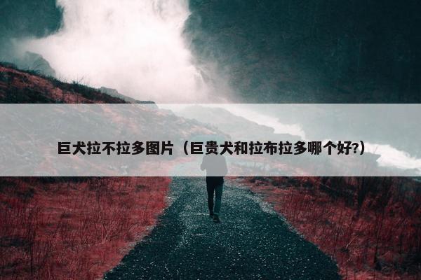 巨犬拉不拉多图片（巨贵犬和拉布拉多哪个好?）