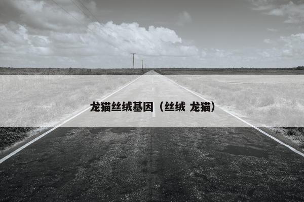 龙猫丝绒基因（丝绒 龙猫）