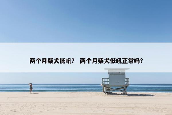 两个月柴犬低吼？ 两个月柴犬低吼正常吗？