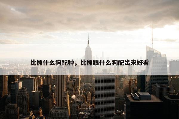 比熊什么狗配种，比熊跟什么狗配出来好看