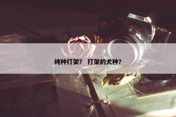 纯种打架？ 打架的犬种？