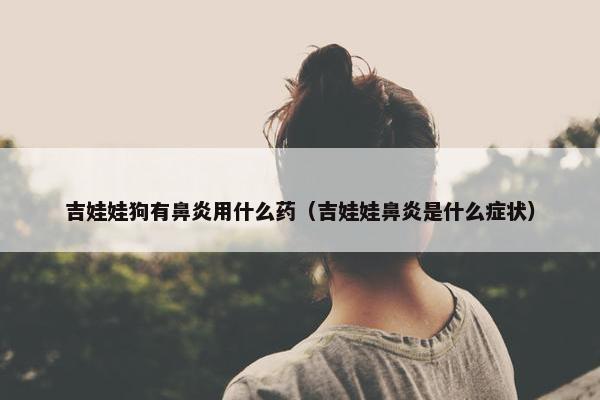 吉娃娃狗有鼻炎用什么药（吉娃娃鼻炎是什么症状）