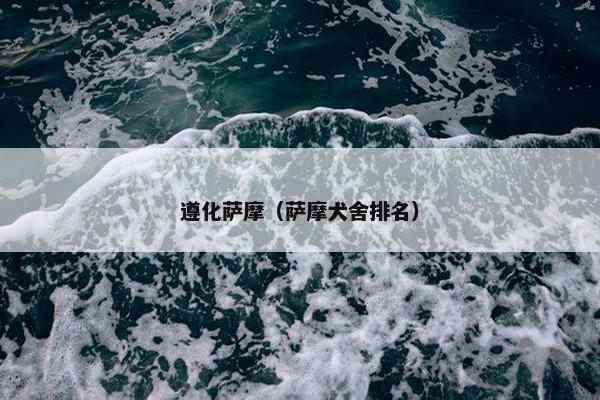 遵化萨摩（萨摩犬舍排名）