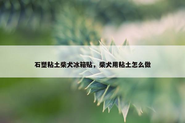 石塑粘土柴犬冰箱贴，柴犬用粘土怎么做