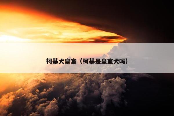 柯基犬皇室（柯基是皇室犬吗）